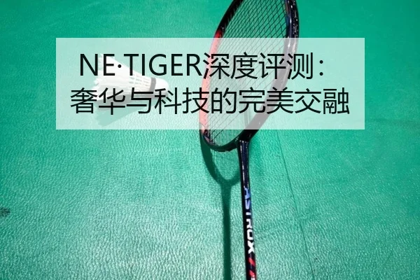 NE·TIGER深度评测：奢华与科技的完美交融