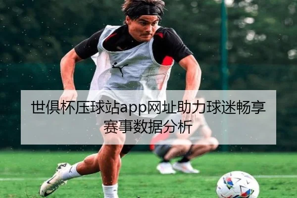 世俱杯压球站app网址助力球迷畅享赛事数据分析