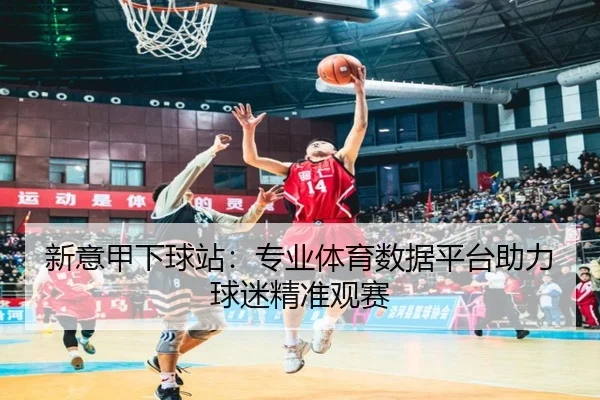 新意甲下球站：专业体育数据平台助力球迷精准观赛