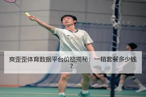 爽歪歪体育数据平台价格揭秘：一箱套餐多少钱？